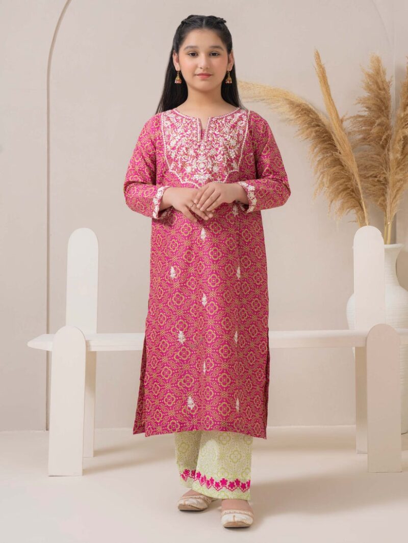 2 Piece Cambric Suit-Embroidered - Image 4